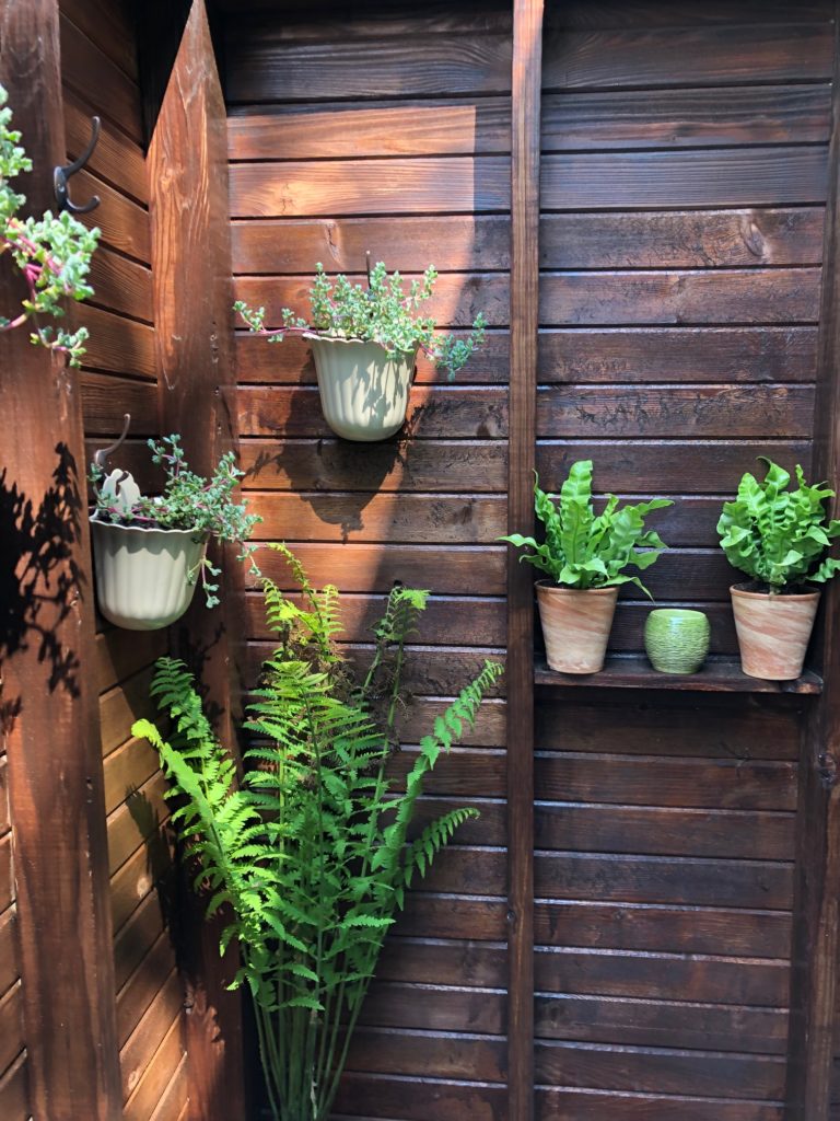 Outdoor Shower Entry